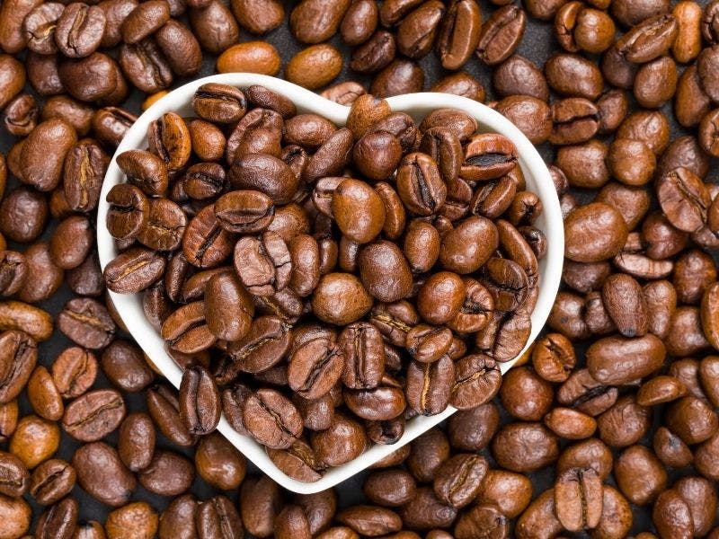 What is the difference between Arabica and Robusta coffee?