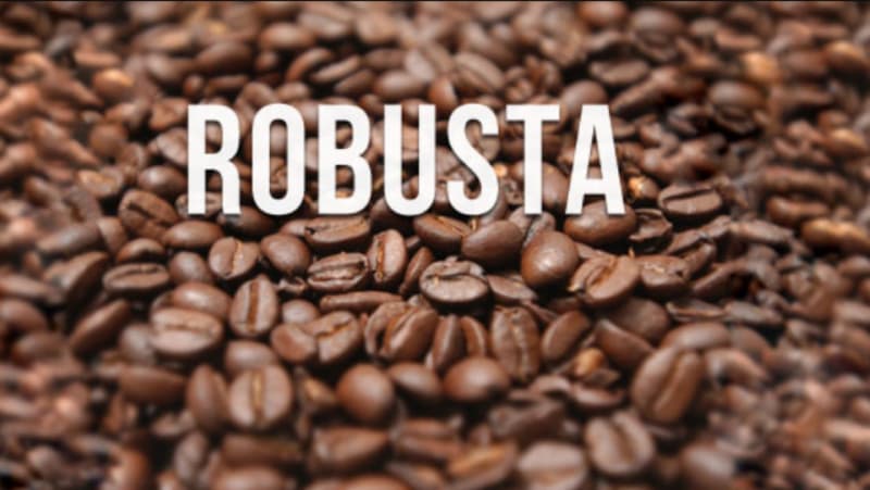 ROBUSTA VIETNAM COFFEE