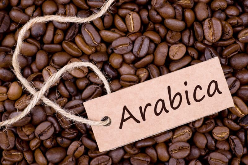 Arabica coffee